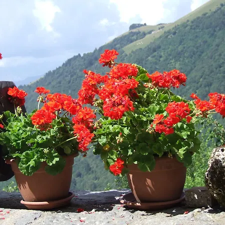 A Casa Di Valerio بيت للعطل زونه